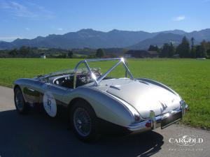 Austin Healey 100-4 M Competitzione, post-war,  Stefan C. Luftschitz, Beuerberg 