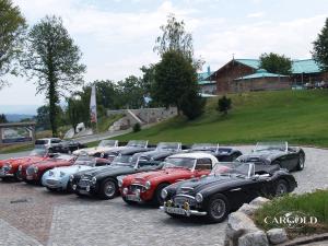 Austin Healey- meeting2007, Hitzelsberg, Stefan C. Luftschitz, Bernau am Chiemsee