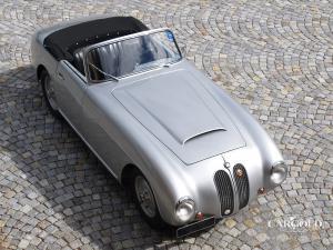 BMW 328 Beutler, post-war, Stefan C. Luftschitz, Beuerberg 