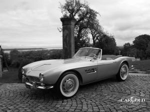 BMW 507 Roadster, post-war, Stefan C. Luftschitz 2009, Beuerberg 