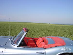 BMW 507 Roadster Series 1, Stefan C. Luftschitz, Beuerberg, Riedering