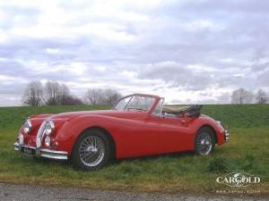 Jaguar XK 140 Cabriolet 1957, post-war, Stefan C. Luftschitz, Beuerberg, Riedering 