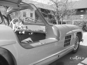 Mercedes 300 SL Gullwing 1955, post-war, Stefan C. Luftschitz, Beuerberg