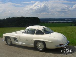 Mercedes 300 SL gullwing 1957, post-war, Stefan C. Luftschitz-Luftschitz, Beuerberg