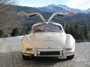 Mercedes 300 SL gullwing, post-war, Stefan C. Luftschitz, Beuerberg, Riedering  