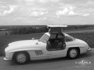 Mercedes 300 SL gullwing with rudge, post-war, Stefan C. Luftschitz-Luftschitz, Beuerberg