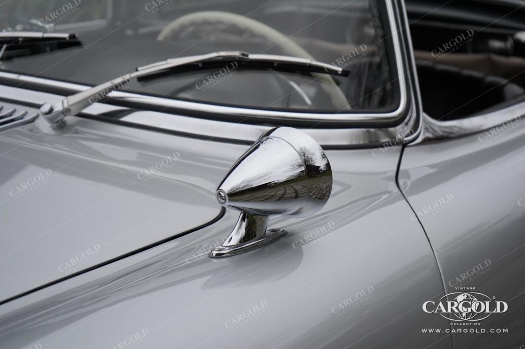 Cargold - Mercedes 300 SL Roadster - 1. Leder, Hardtop  - Bild 19