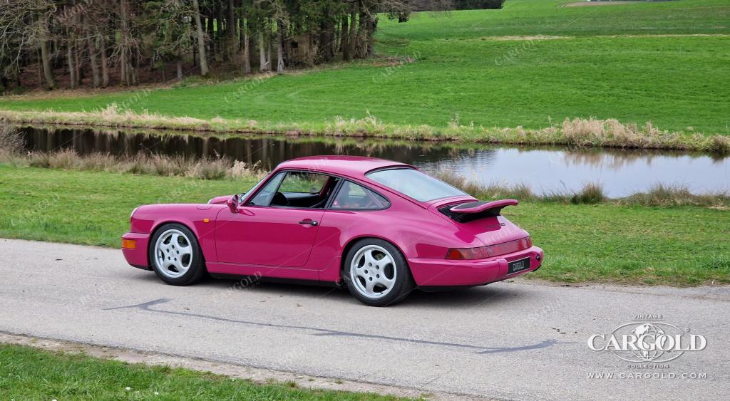 Cargold - Porsche 964 RS N/GT - Sternrubin  - Bild 19