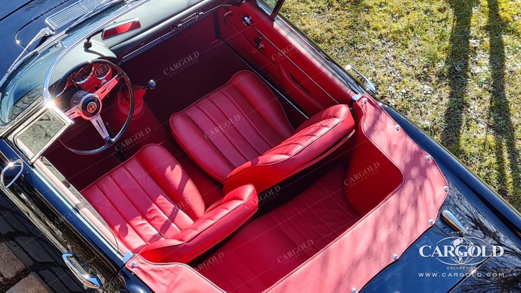 Cargold - Alfa Romeo 2600 Touring Spider - Vollrestauriert  - Bild 5