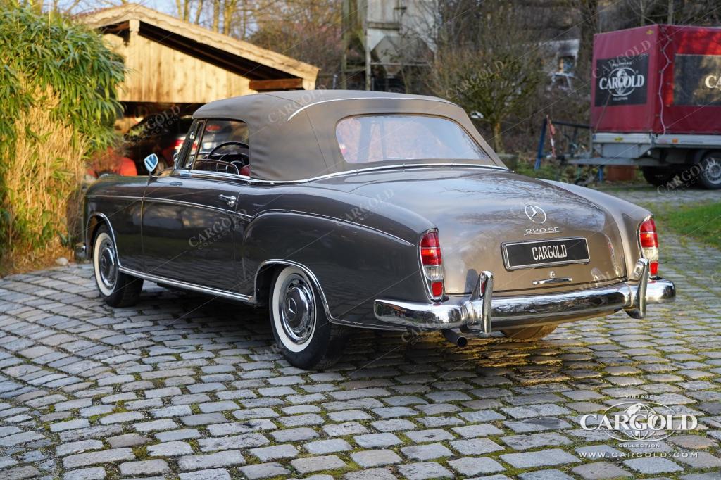 Cargold - Mercedes 220 SE Ponton  - Cabriolet / perfekt vollrestauriert  - Bild 2