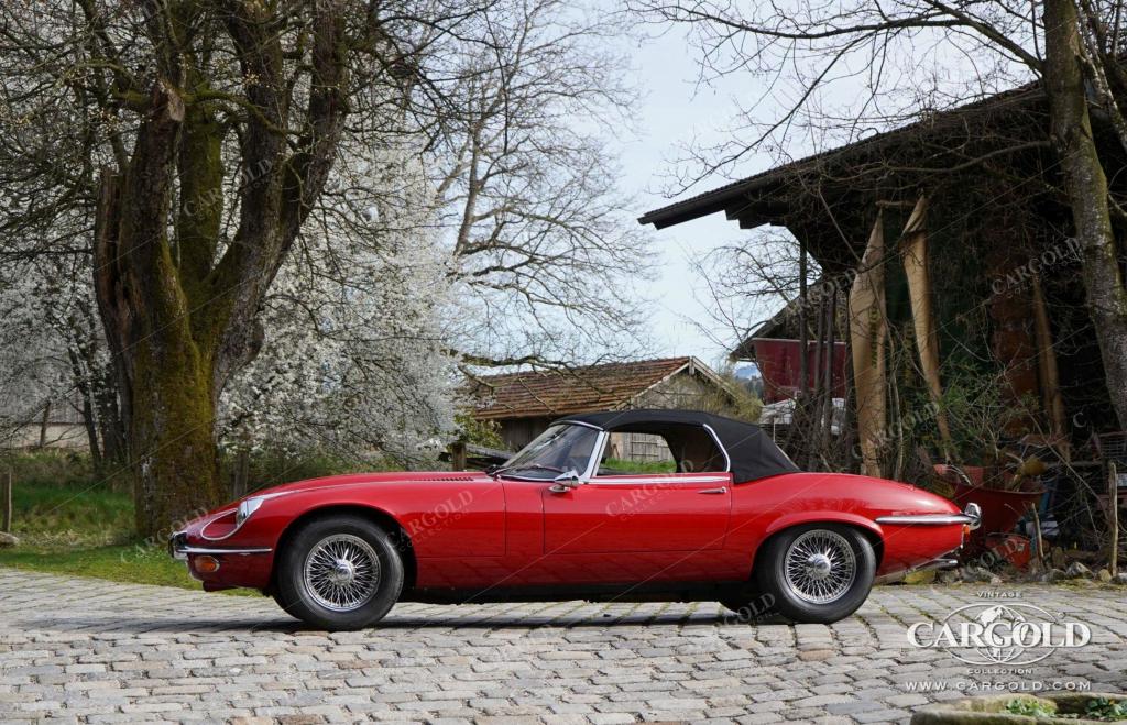 Cargold - Jaguar E-Type S III Roadster - Handschalter, 1.Leder  - Bild 12