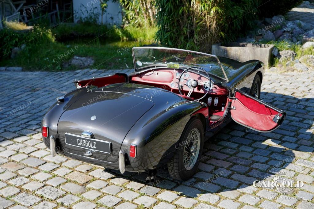 Cargold - AC Ace Roadster - Restored / One of 226!  - Bild 15