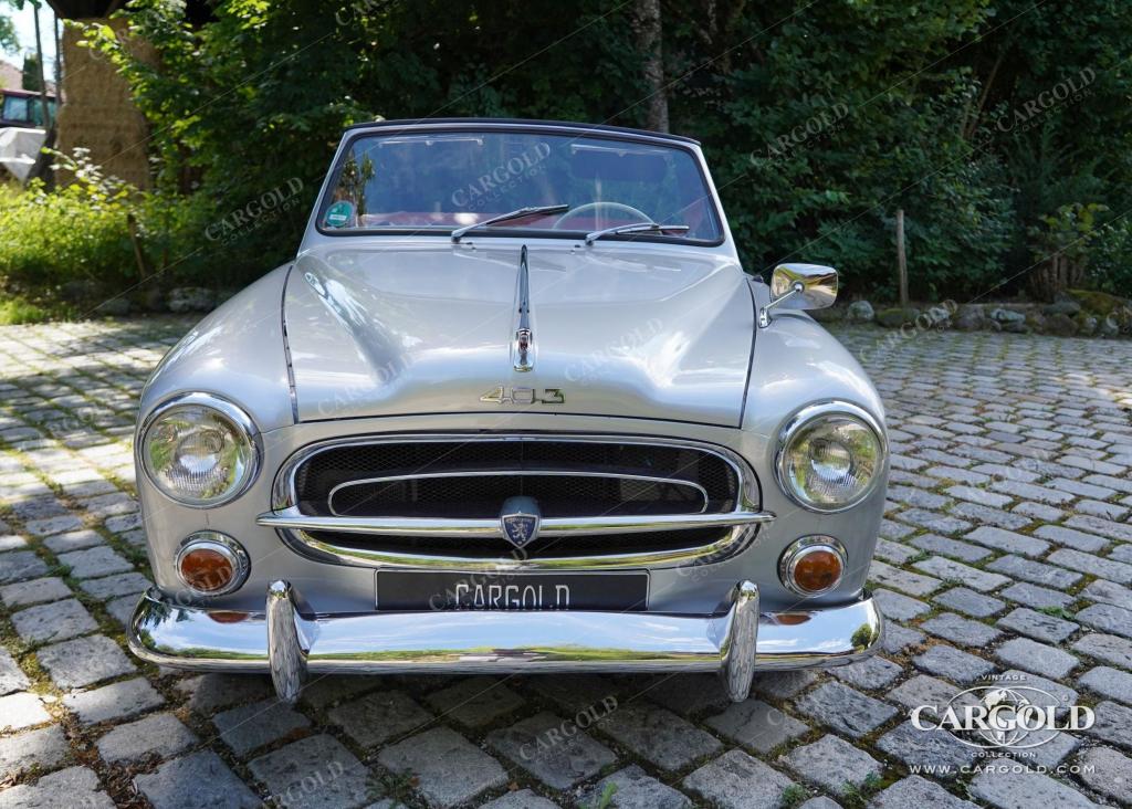 Cargold - Peugeot 403 Cabriolet - Vollrestauriert  - Bild 16