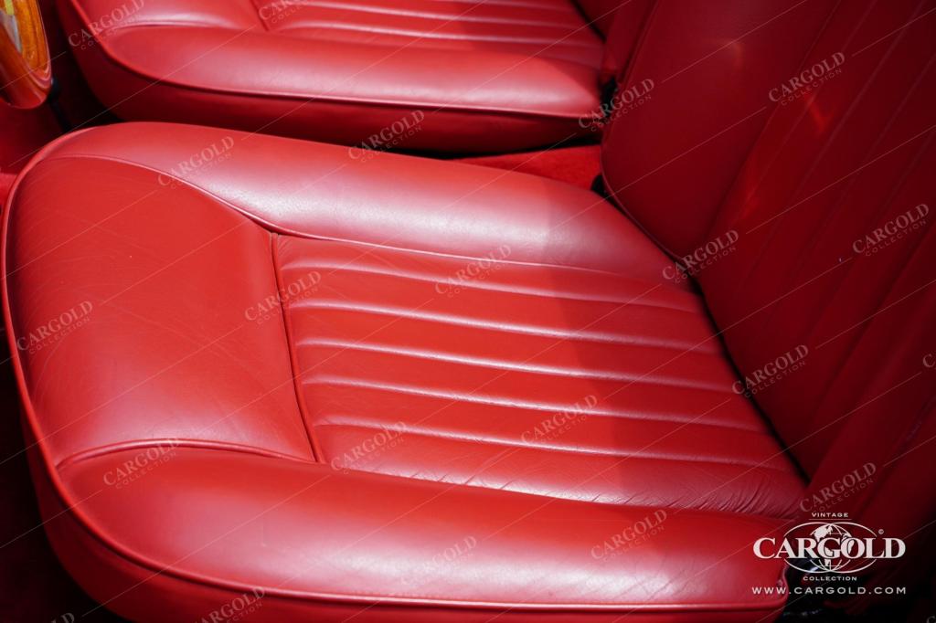 Cargold - Alfa Romeo Giulia Spider Veloce 1600cc - In Italien restauriert  - Bild 3
