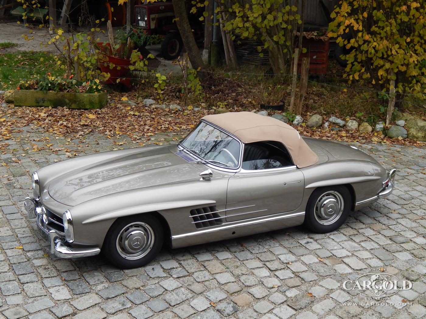 Cargold - Mercedes 300 SL  - Roadster  - Bild 0