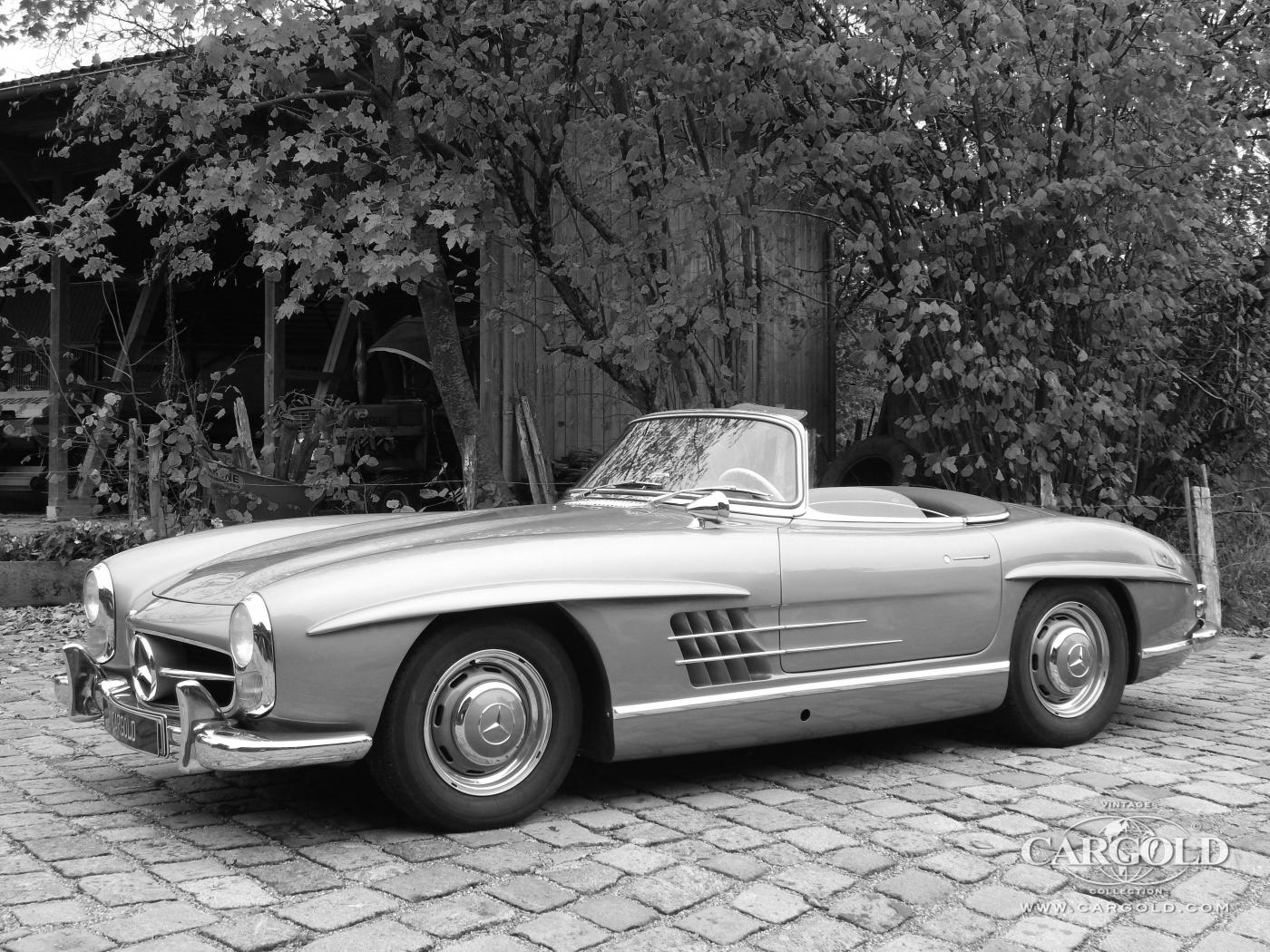 Cargold - Mercedes 300 SL  - Roadster  - Bild 1