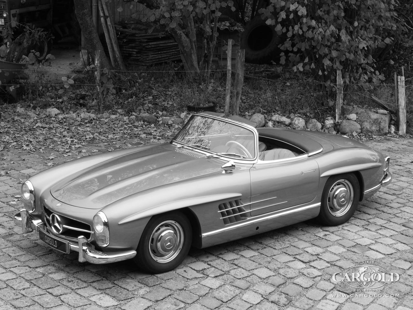 Cargold - Mercedes 300 SL  - Roadster  - Bild 9