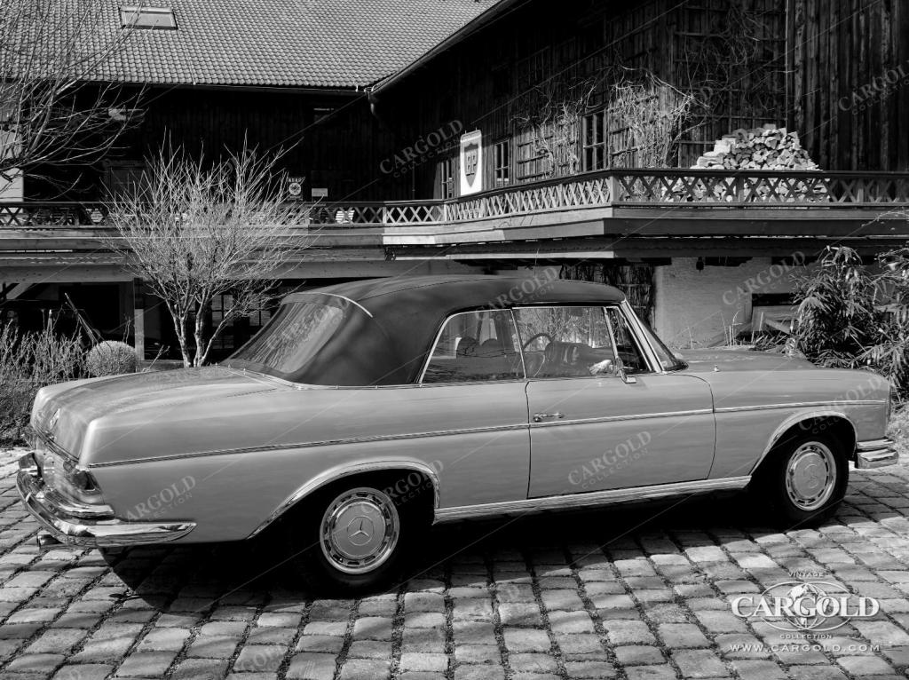 Cargold - Mercedes 280 SE Cabriolet - Vollrestauriert  - Bild 14