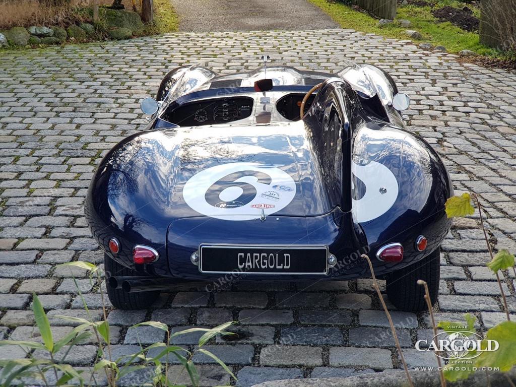Cargold - Jaguar D-Type - FIA Pass, H-Kennzeichen  - Bild 11