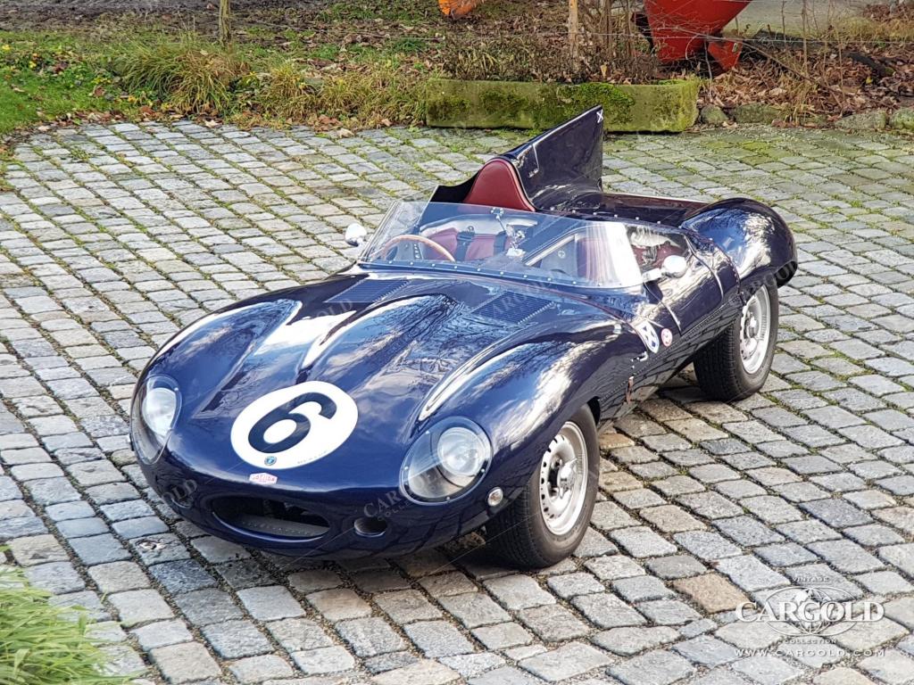 Cargold - Jaguar D-Type - FIA Pass, H-Kennzeichen  - Bild 4