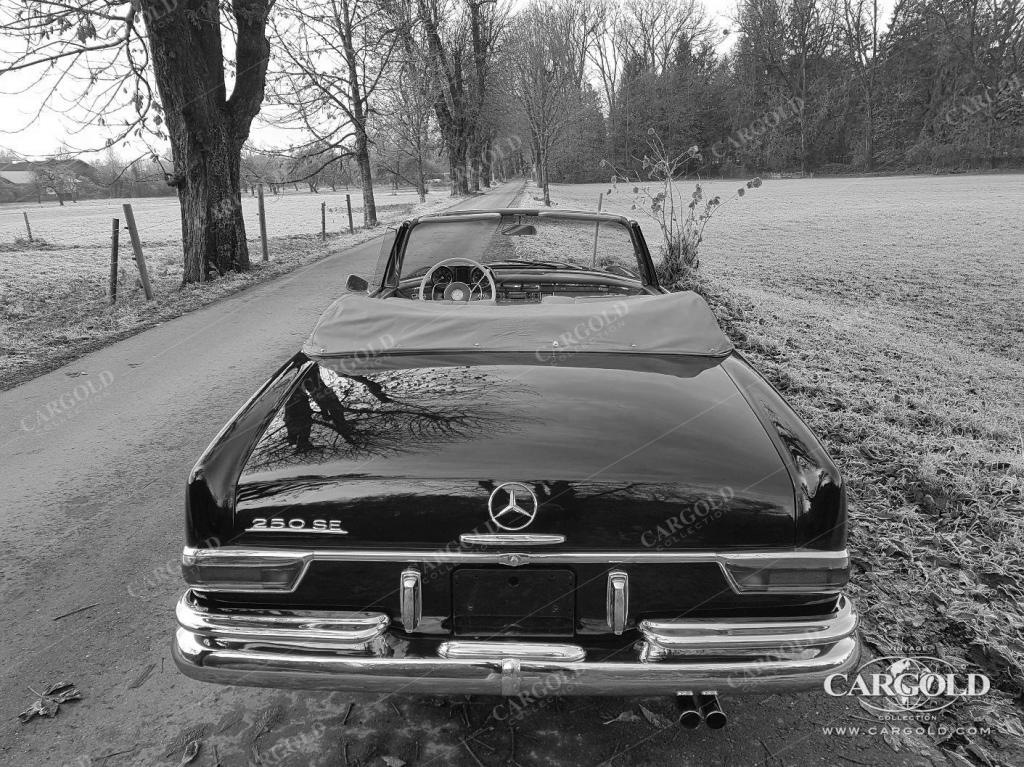 Cargold - Mercedes 250 SE Cabriolet -   - Bild 13