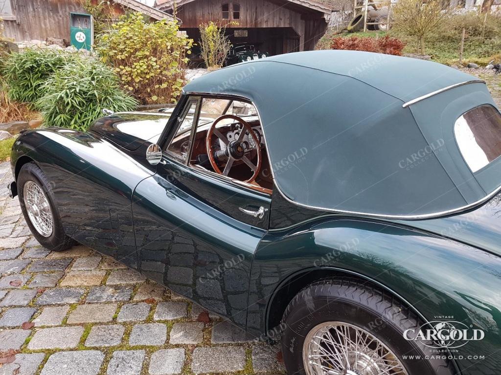 Cargold - Jaguar XK 140 SE - Cabriolet  - Bild 17