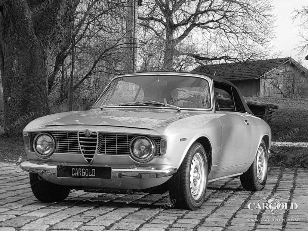 Cargold - Alfa Romeo Giulia GTC - Cabrio  - Bild 21