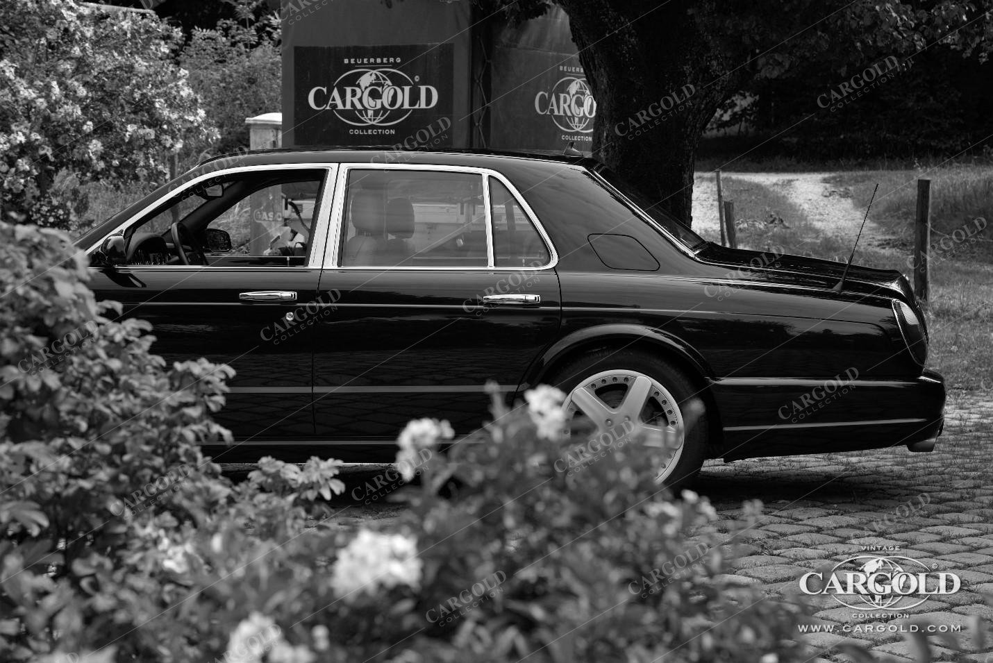 Bentley Arnage T by Cargold