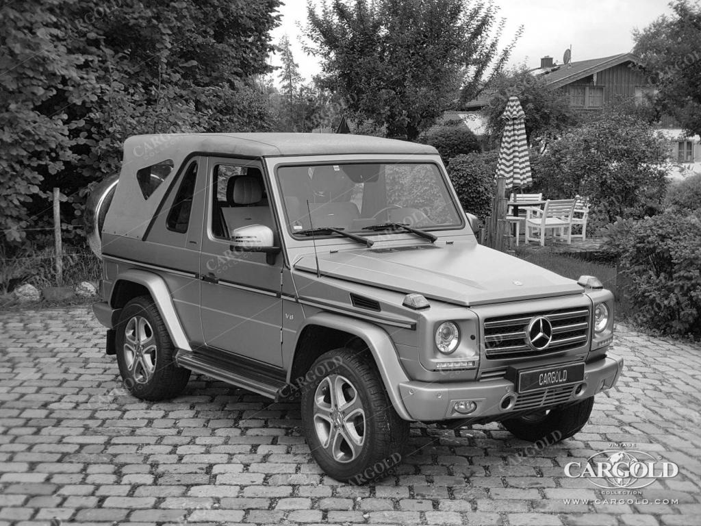 Cargold - Mercedes G 500 Cabriolet Final Edition 200 -   - Bild 12