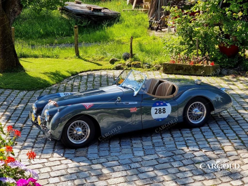 Cargold - Jaguar XK 120 SE Roadster  - Mille Miglia  - Bild 26