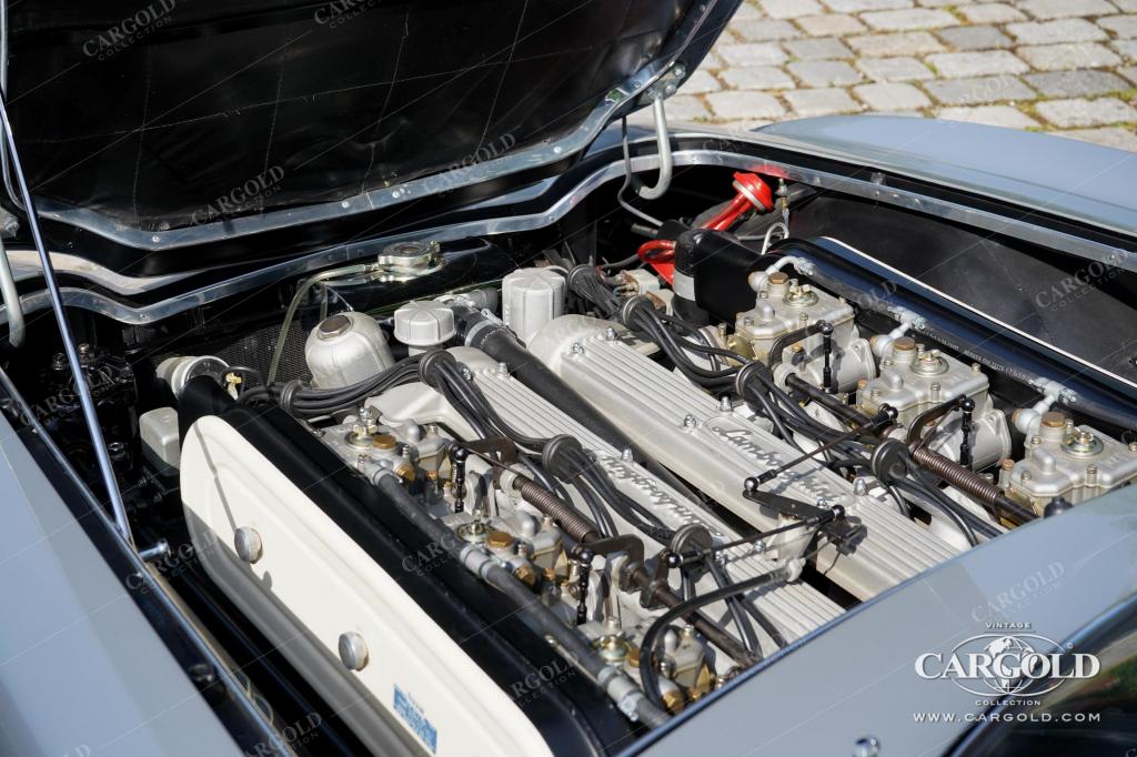 Cargold - Lamborghini 350 GT Interim - One of 3! All-Aluminium!  - Bild 5